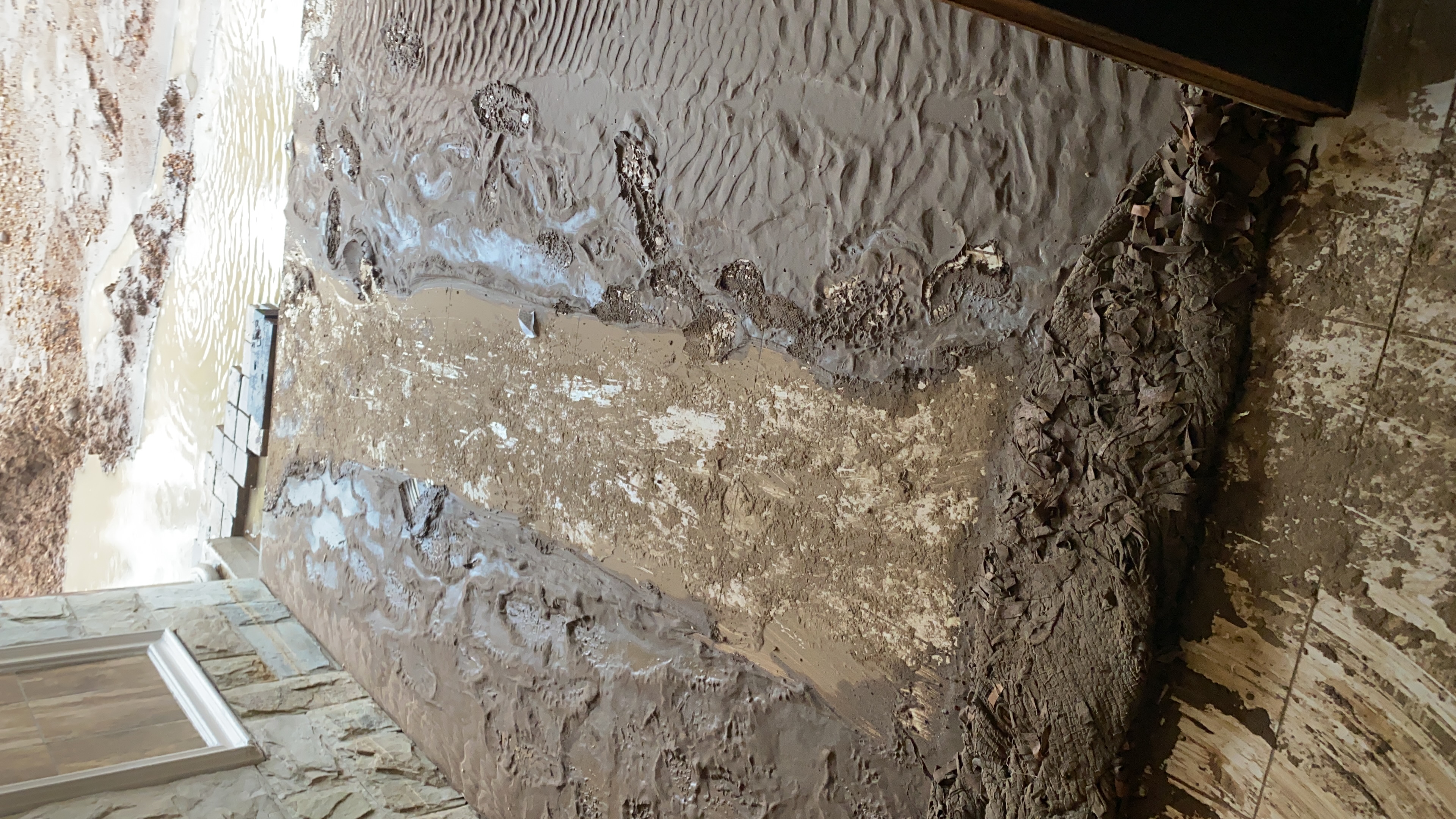 FE1EB58D-6996-4620-A1B4-0C85C520B3DA